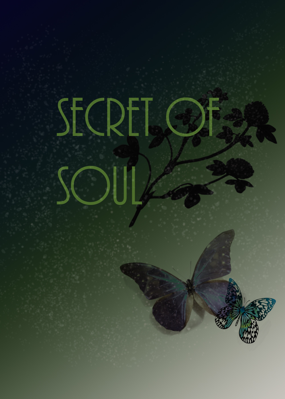 Secret of soul/Секрет души
